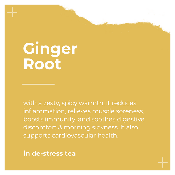 Ingredients of De-Stress Tea by Dee's Teas - Ginger Root