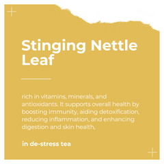 Ingredients of De-Stress Tea by Dee's Teas - Stinging Nettle Leaf